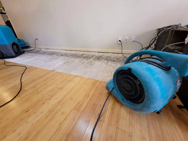 Professional Emergency Water Damage technician working in Valhermoso Springs, AL